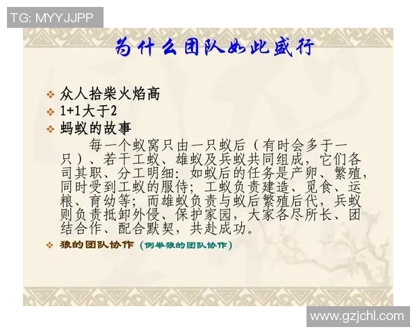 南京乒乓球队与广州乒乓球队赛后复盘团队协作的成功与不足分析